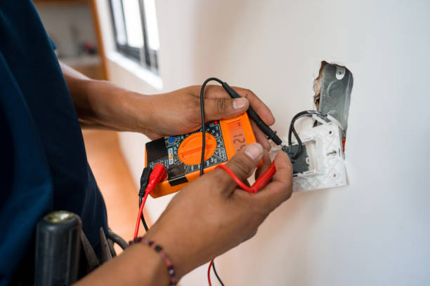 Best Electric Panel Repair  in Triana, AL